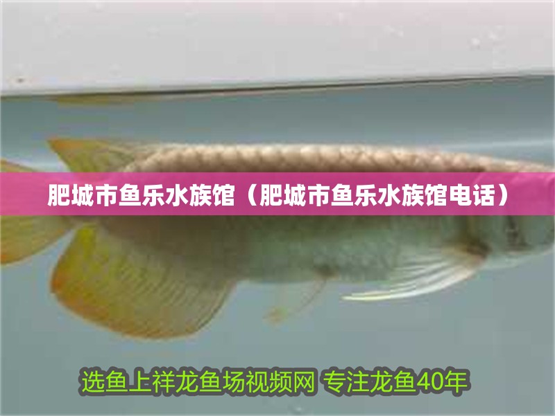 肥城市魚樂水族館（肥城市魚樂水族館電話）