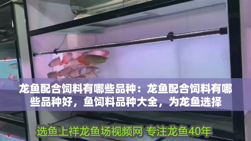 龍魚配合飼料有哪些品種:龍魚配合飼料有哪些品種好,魚飼料品種大全,為龍魚選擇 水族問答 龍魚配合飼料有哪些品種:龍魚配合飼料有哪些品種好,魚飼料品種大全,為龍魚選擇 龍魚配合飼料有哪些品種:龍魚配合飼料有哪些品種好,魚飼料品種大全,為龍魚選擇 水族問答