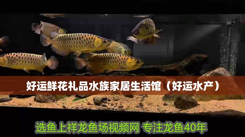 好運(yùn)鮮花禮品水族家居生活館（好運(yùn)水產(chǎn)） 好運(yùn)鮮花禮品水族家居生活館（好運(yùn)水產(chǎn)） 全國(guó)水族館企業(yè)名錄 第2張