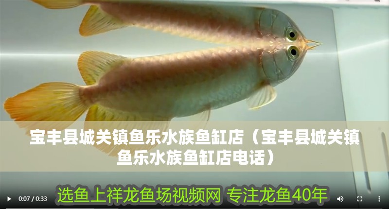 寶豐縣城關鎮魚樂水族魚缸店（寶豐縣城關鎮魚樂水族魚缸店電話） 寶豐縣城關鎮魚樂水族魚缸店（寶豐縣城關鎮魚樂水族魚缸店電話） 全國水族館企業名錄 第2張