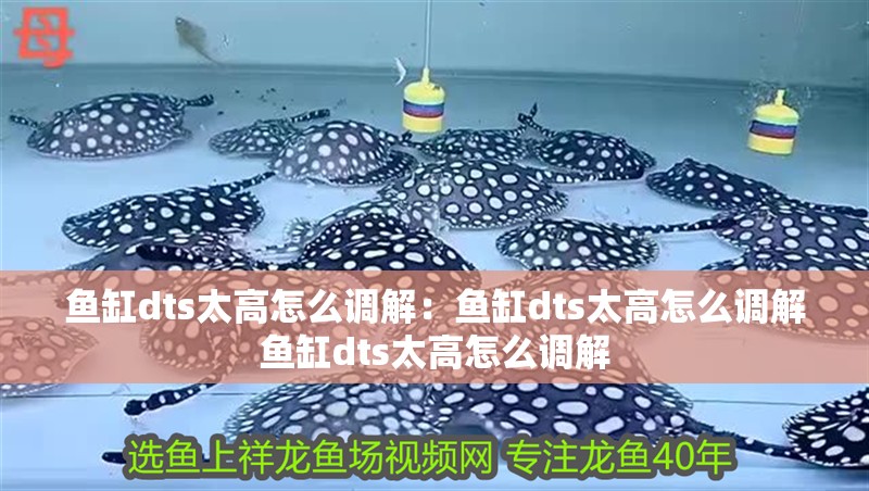 魚缸dts太高怎么調解：魚缸dts太高怎么調解魚缸dts太高怎么調解