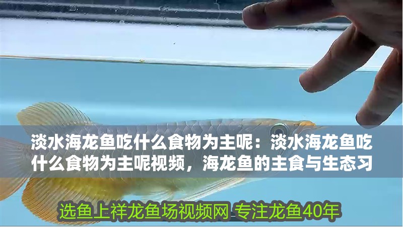 淡水海龍魚吃什么食物為主呢：淡水海龍魚吃什么食物為主呢視頻，海龍魚的主食與生態習性解析