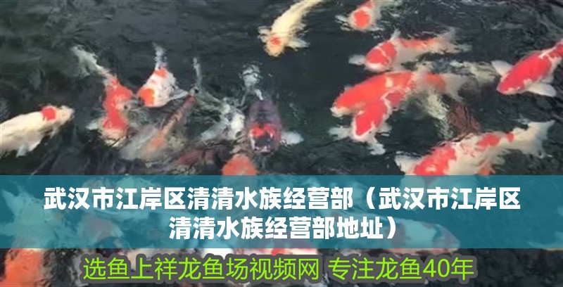 武漢市江岸區(qū)清清水族經(jīng)營(yíng)部（武漢市江岸區(qū)清清水族經(jīng)營(yíng)部地址）