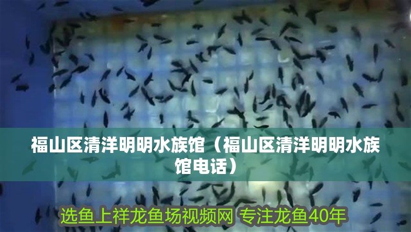 福山區清洋明明水族館（福山區清洋明明水族館電話）