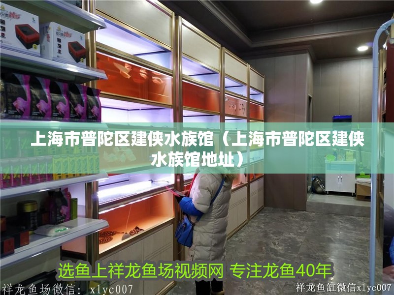 上海市普陀區(qū)建俠水族館（上海市普陀區(qū)建俠水族館地址） 上海市普陀區(qū)建俠水族館（上海市普陀區(qū)建俠水族館地址） 全國水族館企業(yè)名錄 第2張