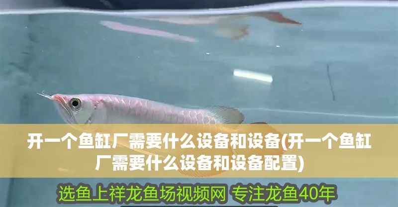 開一個魚缸廠需要什么設備和設備(開一個魚缸廠需要什么設備和設備配置)