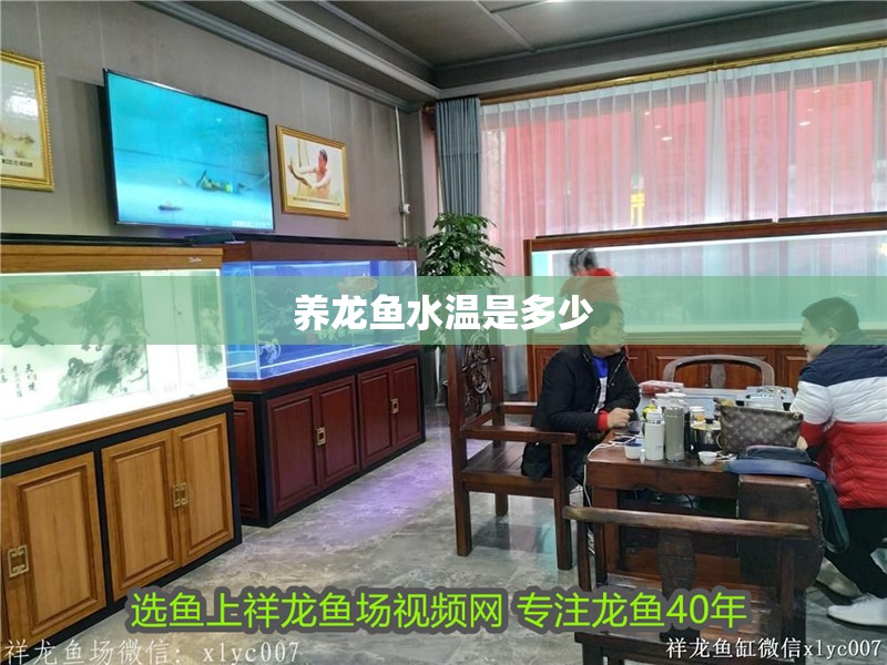 養(yǎng)龍魚水溫是多少