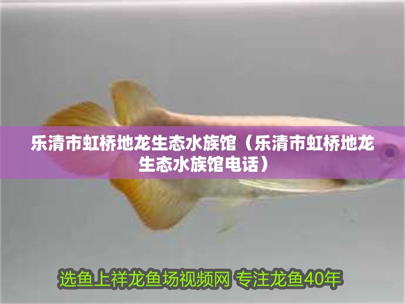 樂清市虹橋地龍生態(tài)水族館（樂清市虹橋地龍生態(tài)水族館電話）