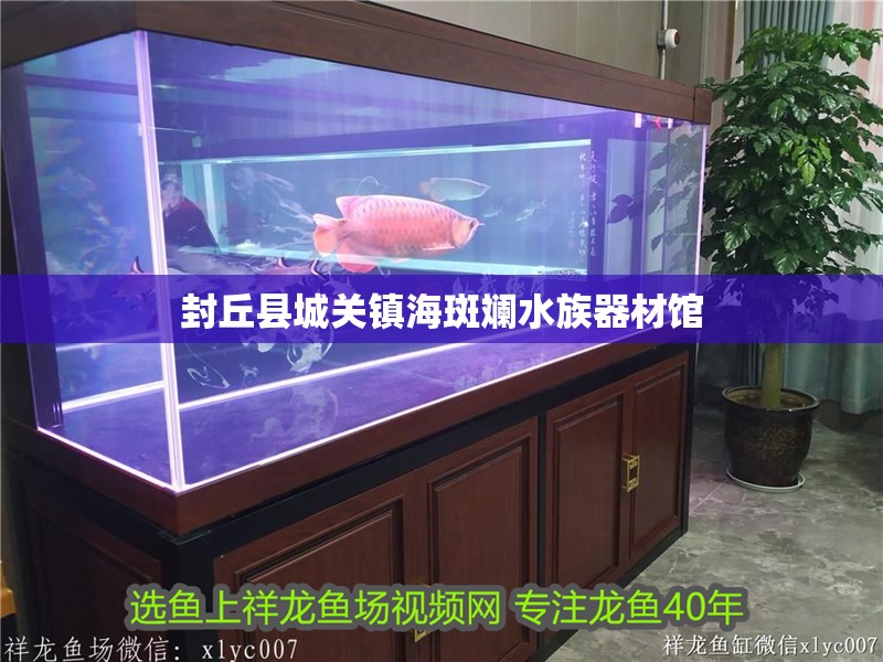 封丘縣城關鎮海斑斕水族器材館