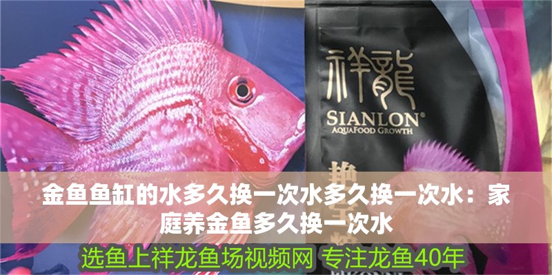 金魚魚缸的水多久換一次水多久換一次水：家庭養金魚多久換一次水
