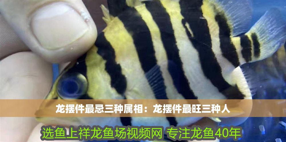 龍擺件最忌三種屬相：龍擺件最旺三種人