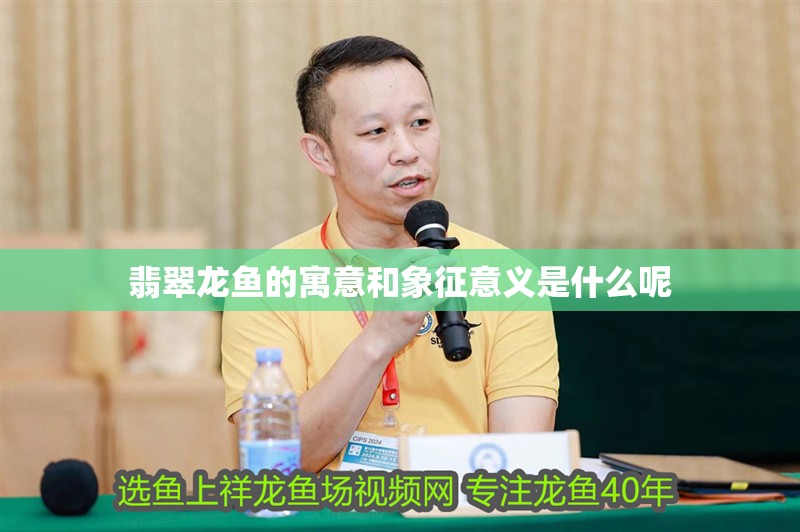 翡翠龍魚的寓意和象征意義是什么呢 翡翠龍魚的寓意和象征意義是什么呢 龍魚百科 第2張