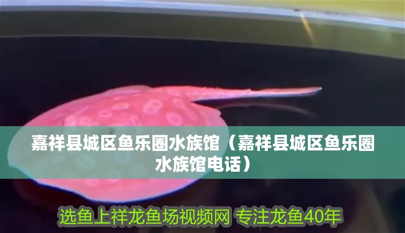 嘉祥縣城區魚樂圈水族館（嘉祥縣城區魚樂圈水族館電話）