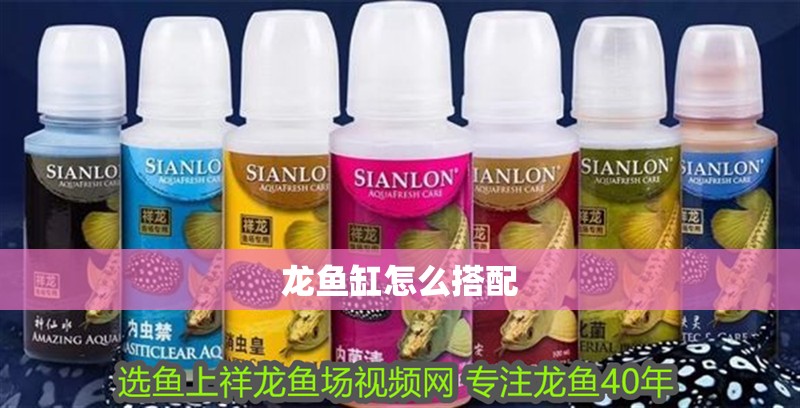 龍魚缸怎么搭配