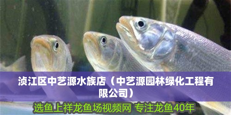 湞江區中藝源水族店（中藝源園林綠化工程有限公司） 湞江區中藝源水族店（中藝源園林綠化工程有限公司） 全國水族館企業名錄 第2張