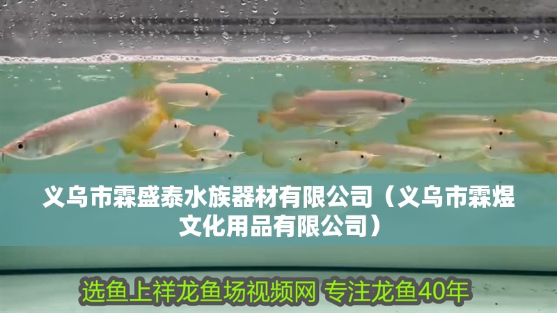 義烏市霖盛泰水族器材有限公司（義烏市霖煜文化用品有限公司） 義烏市霖盛泰水族器材有限公司（義烏市霖煜文化用品有限公司） 全國水族館企業名錄 第2張