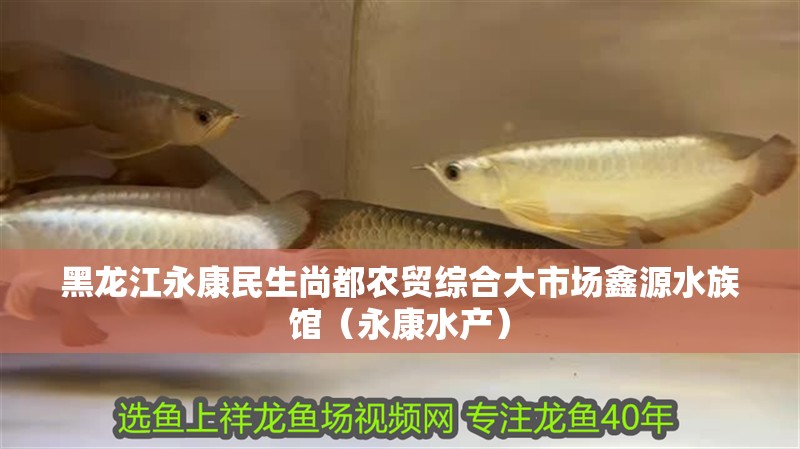 黑龍江永康民生尚都農貿綜合大市場鑫源水族館（永康水產）