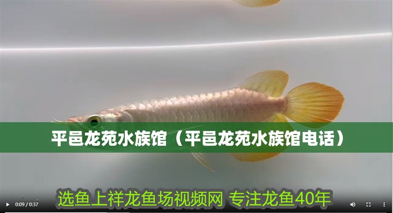 平邑龍?jiān)匪屦^（平邑龍?jiān)匪屦^電話）