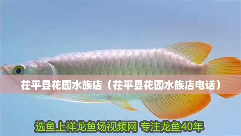 茌平縣花園水族店（茌平縣花園水族店電話） 茌平縣花園水族店（茌平縣花園水族店電話） 全國水族館企業(yè)名錄 第2張