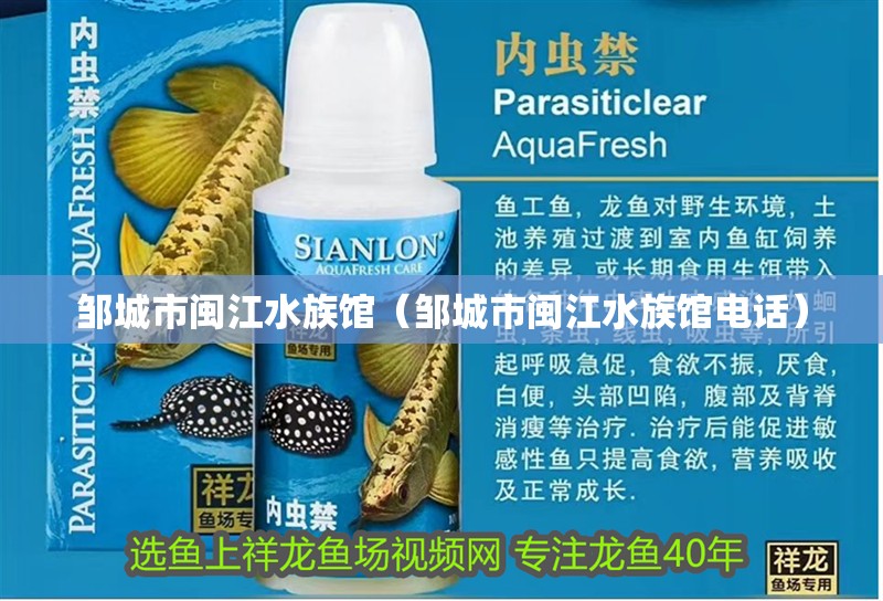 鄒城市閩江水族館（鄒城市閩江水族館電話）