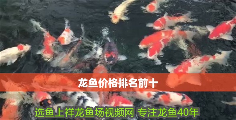 龍魚價格排名前十 龍魚百科 龍魚價格排名前十 龍魚價格排名前十 龍魚百科