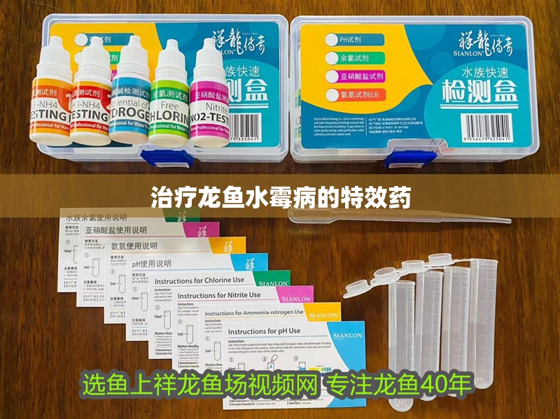 治療龍魚水霉病的特效藥