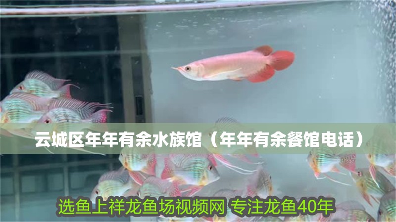 云城區年年有余水族館（年年有余餐館電話）