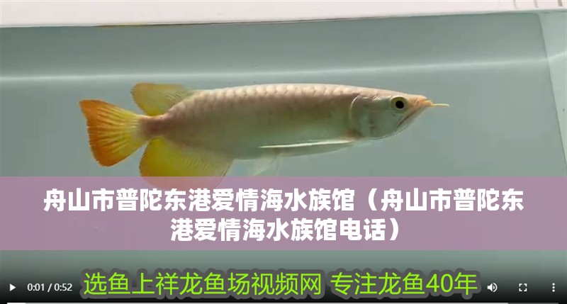 舟山市普陀?xùn)|港愛情海水族館（舟山市普陀?xùn)|港愛情海水族館電話）