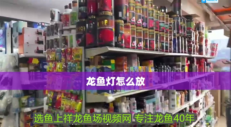 龍魚燈怎么放