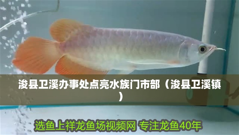 浚縣衛溪辦事處點亮水族門市部（浚縣衛溪鎮）