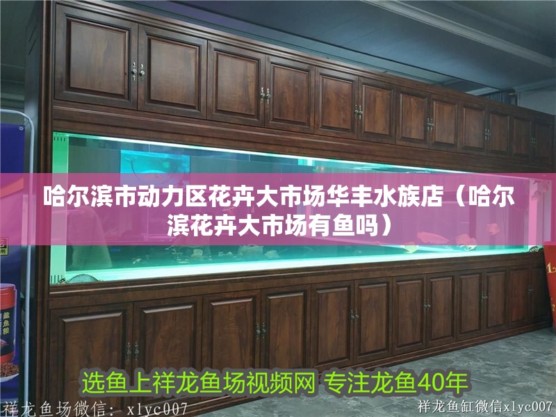 哈爾濱市動(dòng)力區(qū)花卉大市場(chǎng)華豐水族店（哈爾濱花卉大市場(chǎng)有魚嗎）