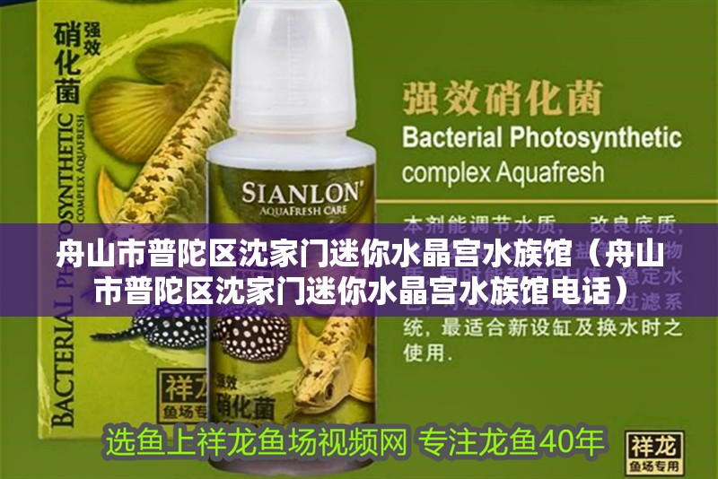 舟山市普陀區(qū)沈家門迷你水晶宮水族館（舟山市普陀區(qū)沈家門迷你水晶宮水族館電話）