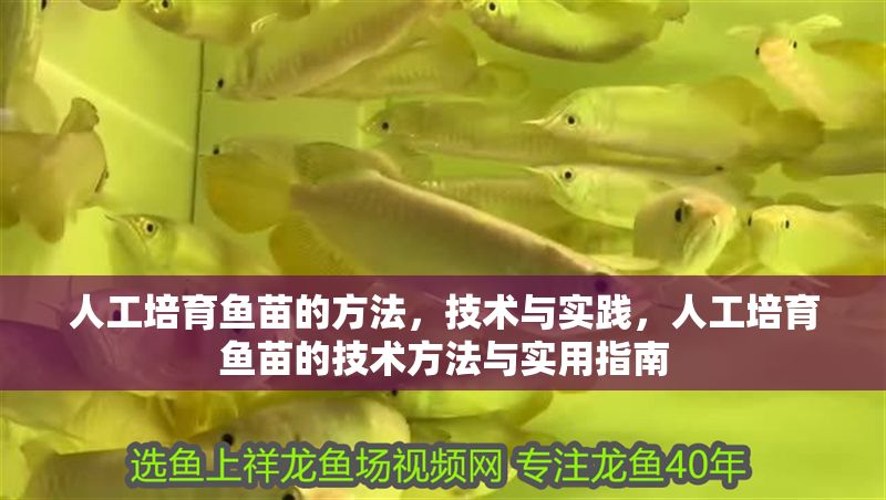 人工培育魚苗的方法，技術與實踐，人工培育魚苗的技術方法與實用指南