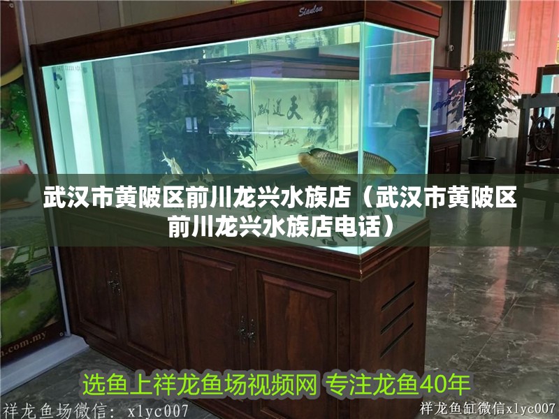 武漢市黃陂區(qū)前川龍興水族店（武漢市黃陂區(qū)前川龍興水族店電話）