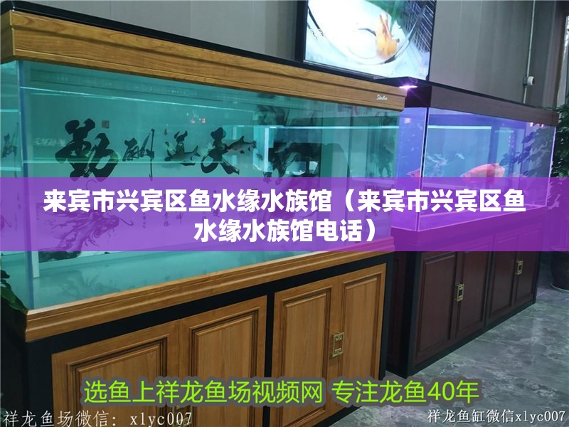 來賓市興賓區魚水緣水族館（來賓市興賓區魚水緣水族館電話）