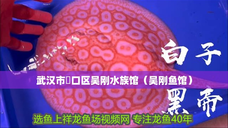 武漢市硚口區(qū)吳剛水族館（吳剛魚館）