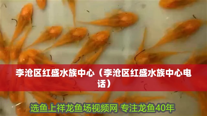 李滄區(qū)紅盛水族中心（李滄區(qū)紅盛水族中心電話）