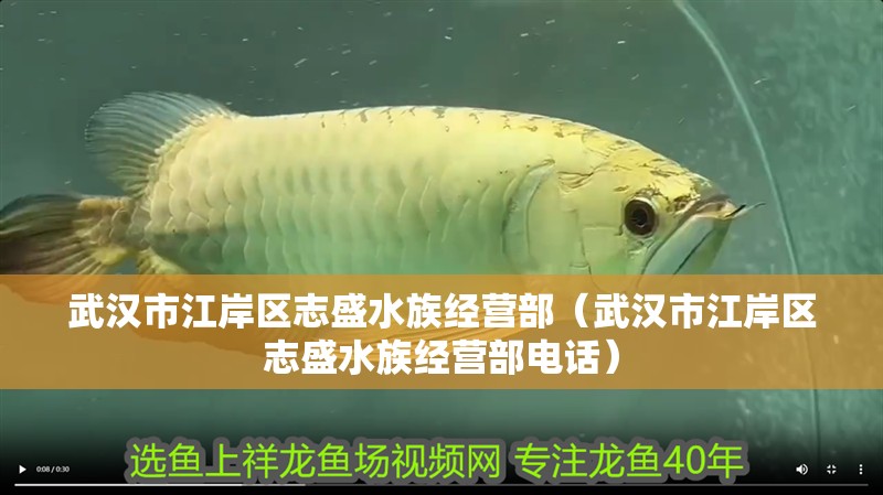武漢市江岸區志盛水族經營部（武漢市江岸區志盛水族經營部電話）