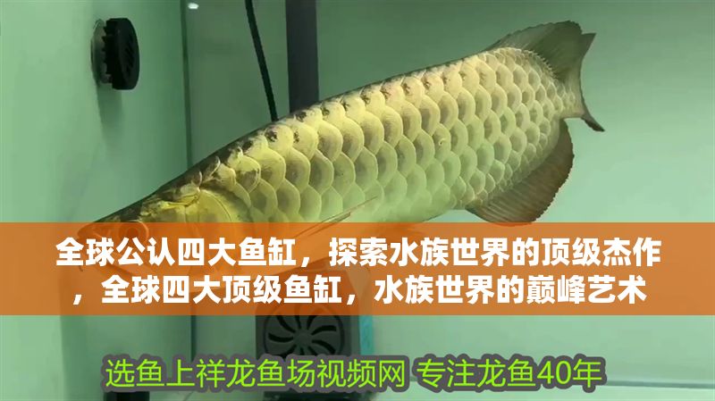 全球公認四大魚缸，探索水族世界的頂級杰作，全球四大頂級魚缸，水族世界的巔峰藝術