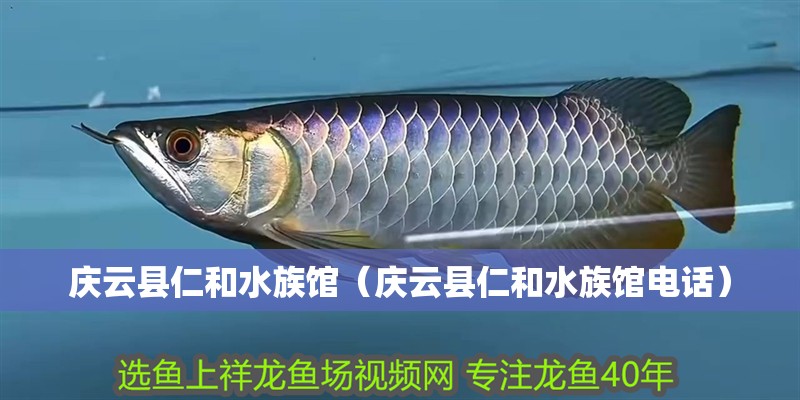 慶云縣仁和水族館（慶云縣仁和水族館電話）