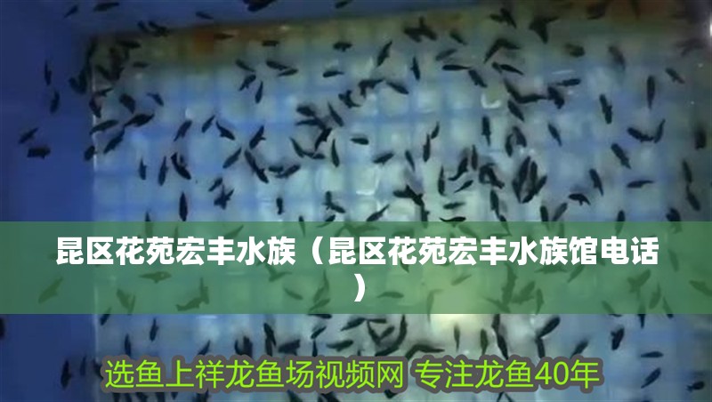 昆區(qū)花苑宏豐水族（昆區(qū)花苑宏豐水族館電話）