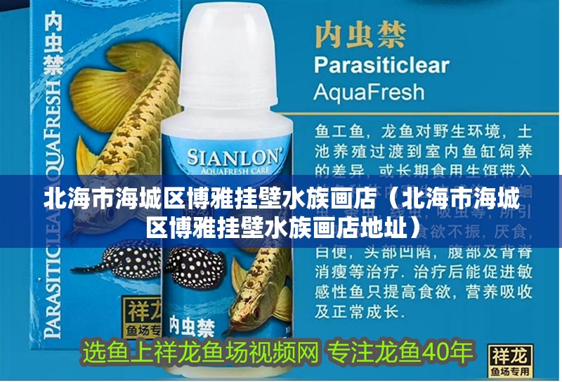 北海市海城區博雅掛壁水族畫店（北海市海城區博雅掛壁水族畫店地址）