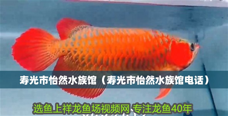 壽光市怡然水族館（壽光市怡然水族館電話）