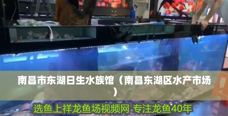 南昌市東湖日生水族館（南昌東湖區水產市場）