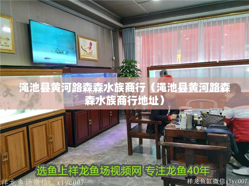澠池縣黃河路森森水族商行（澠池縣黃河路森森水族商行地址）