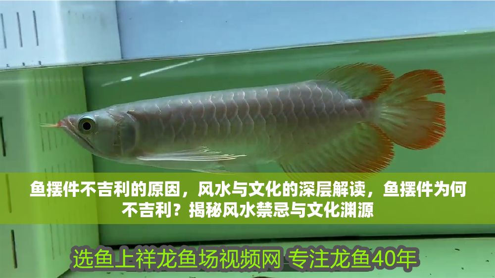 魚擺件不吉利的原因，風水與文化的深層解讀，魚擺件為何不吉利？揭秘風水禁忌與文化淵源