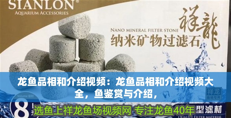 龍魚品相和介紹視頻：龍魚品相和介紹視頻大全，魚鑒賞與介紹，