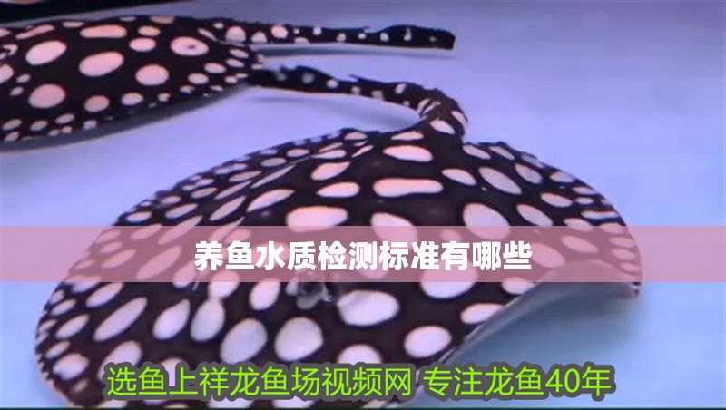 養(yǎng)魚水質(zhì)檢測標準有哪些 錦鯉魚百科 第2張 養(yǎng)魚水質(zhì)檢測標準有哪些 養(yǎng)魚水質(zhì)檢測標準有哪些 錦鯉魚百科 第2張