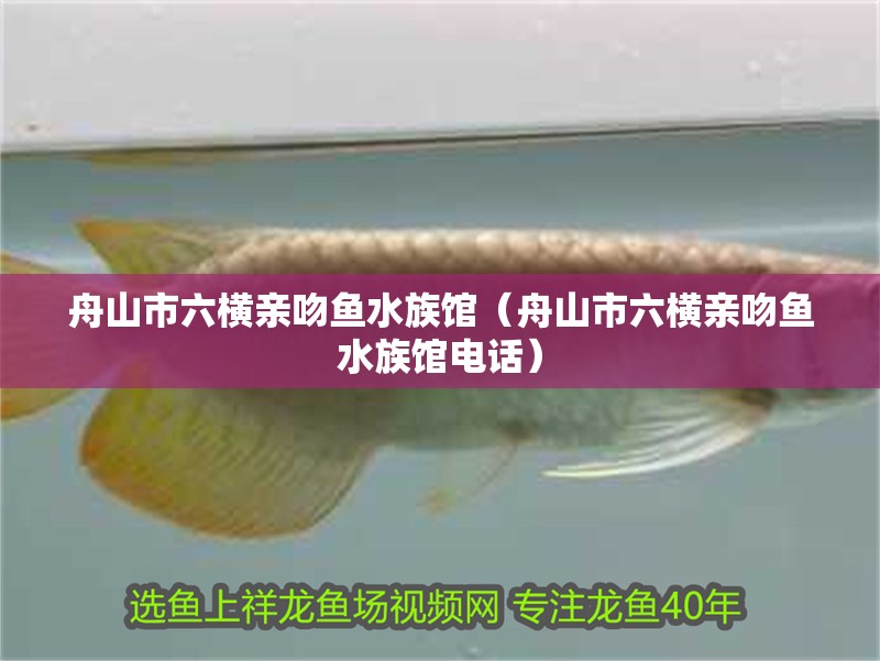 舟山市六橫親吻魚水族館（舟山市六橫親吻魚水族館電話） 舟山市六橫親吻魚水族館（舟山市六橫親吻魚水族館電話） 全國水族館企業名錄 第2張