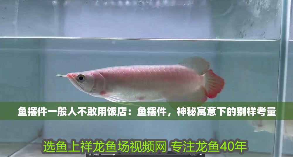 魚擺件一般人不敢用飯店：魚擺件，神秘寓意下的別樣考量